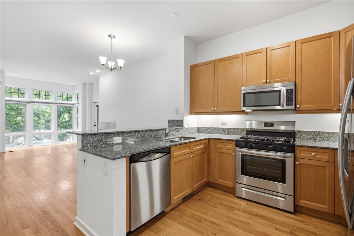1707 W George Street 60 Property Photo 2