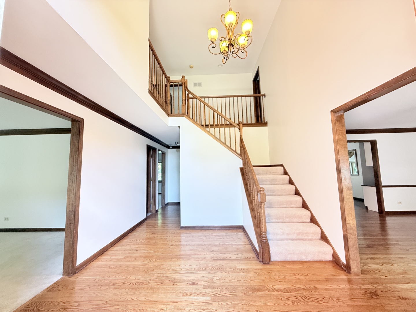 2318 River Woods Drive Property Photo 3