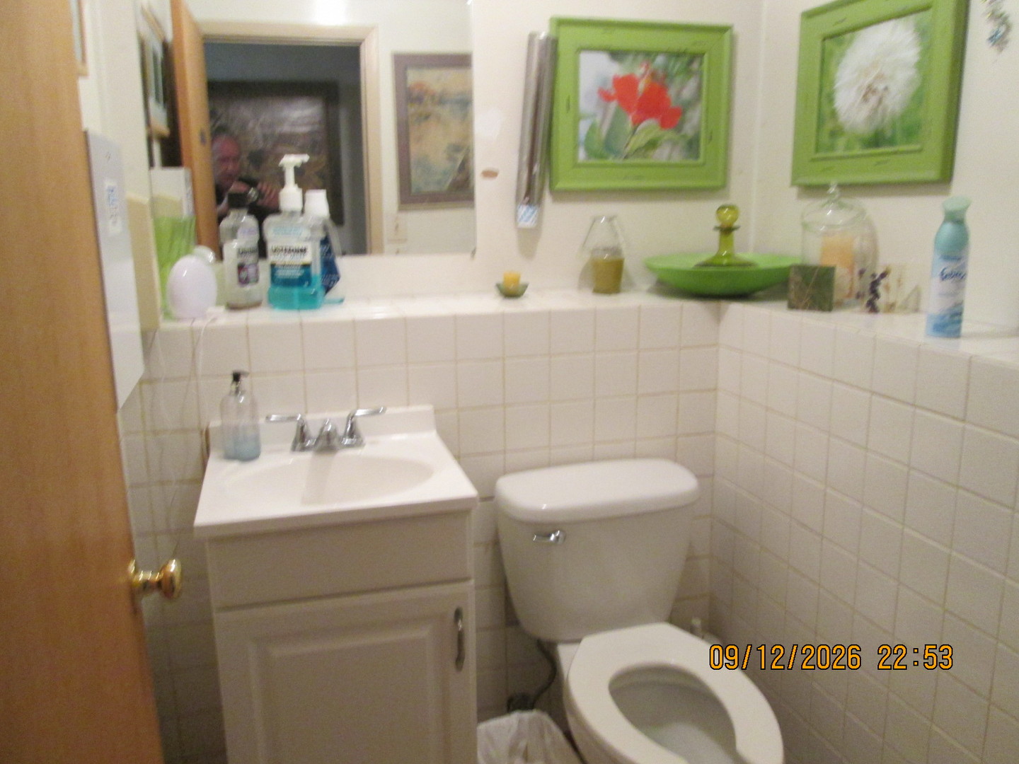 7326 W Irving Park Road Property Photo 20