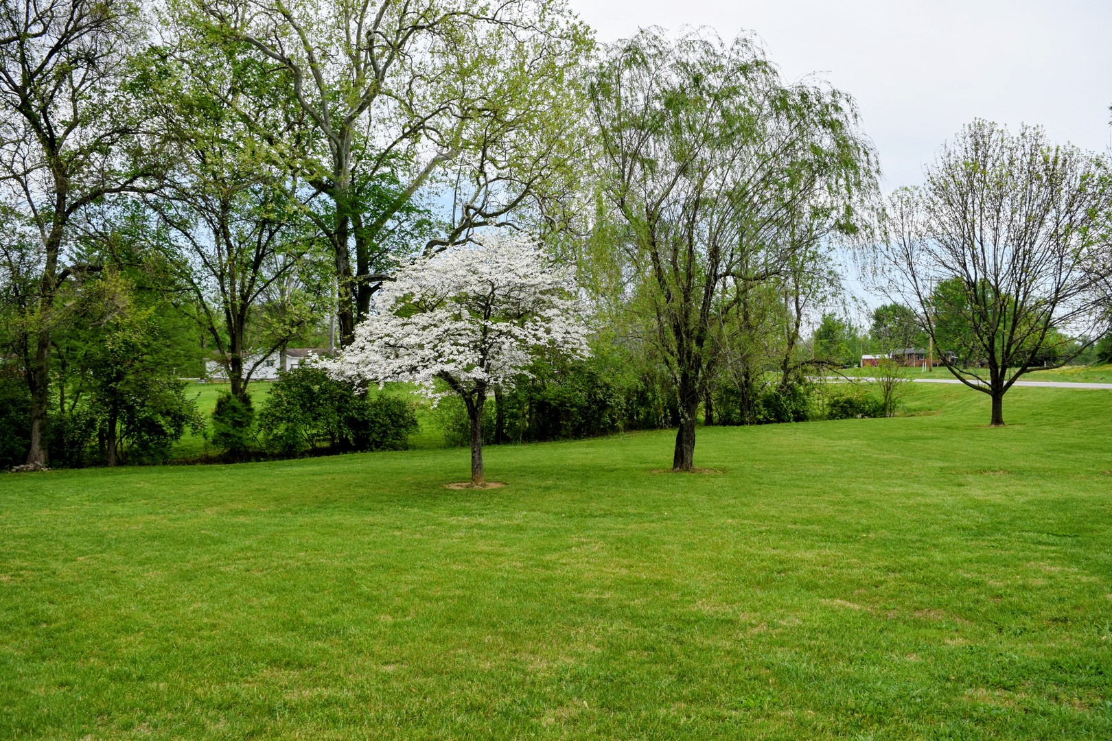 7007 State Route 4 Property Photo 12