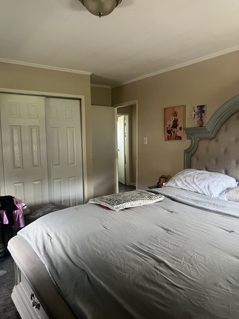 12717119 Property Photo 20