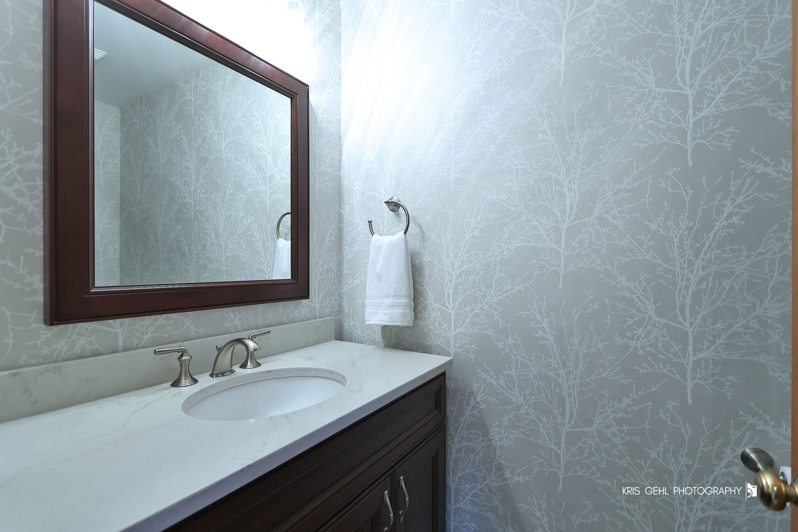 2727 Downing Court Property Photo 16