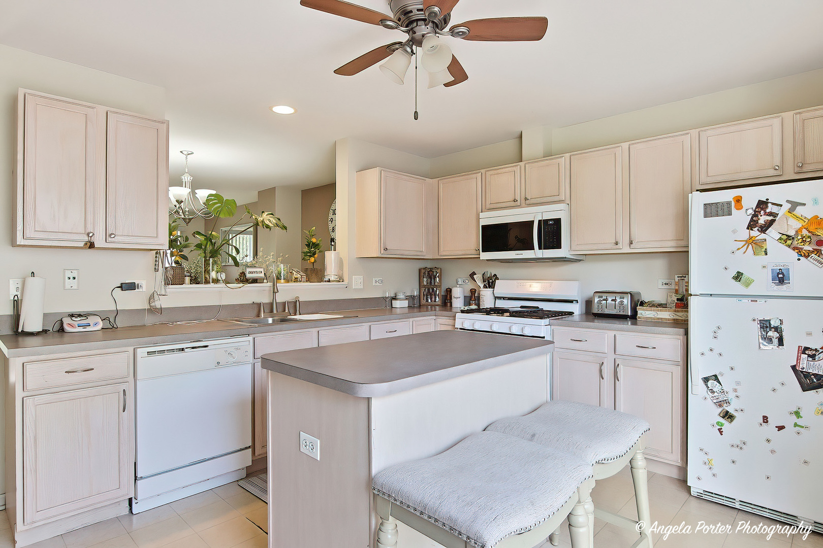 34384 N Aster Court Property Photo 6