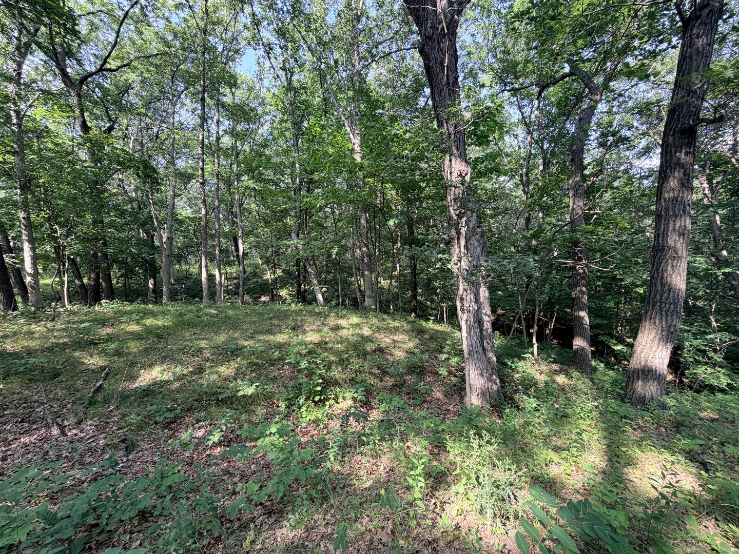 0000 E 2850th Road Property Photo 24