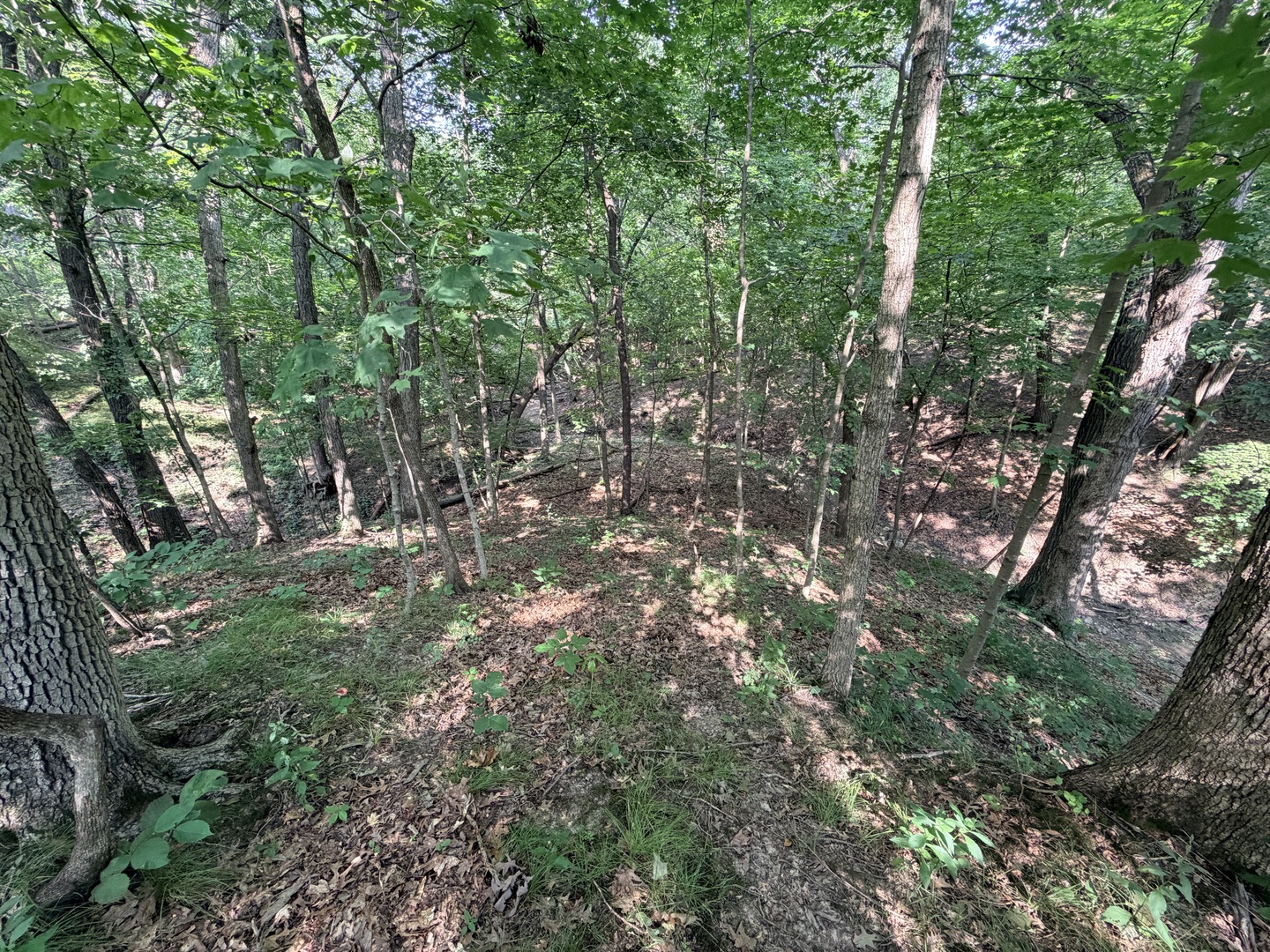 0000 E 2850th Road Property Photo 25