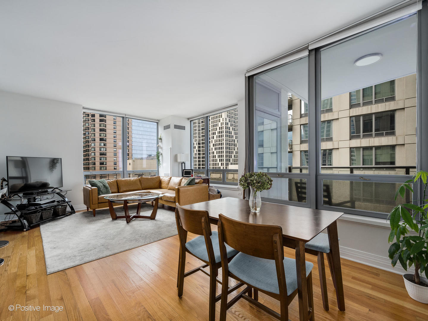 600 N Lake Shore Drive 1409 Property Photo 3