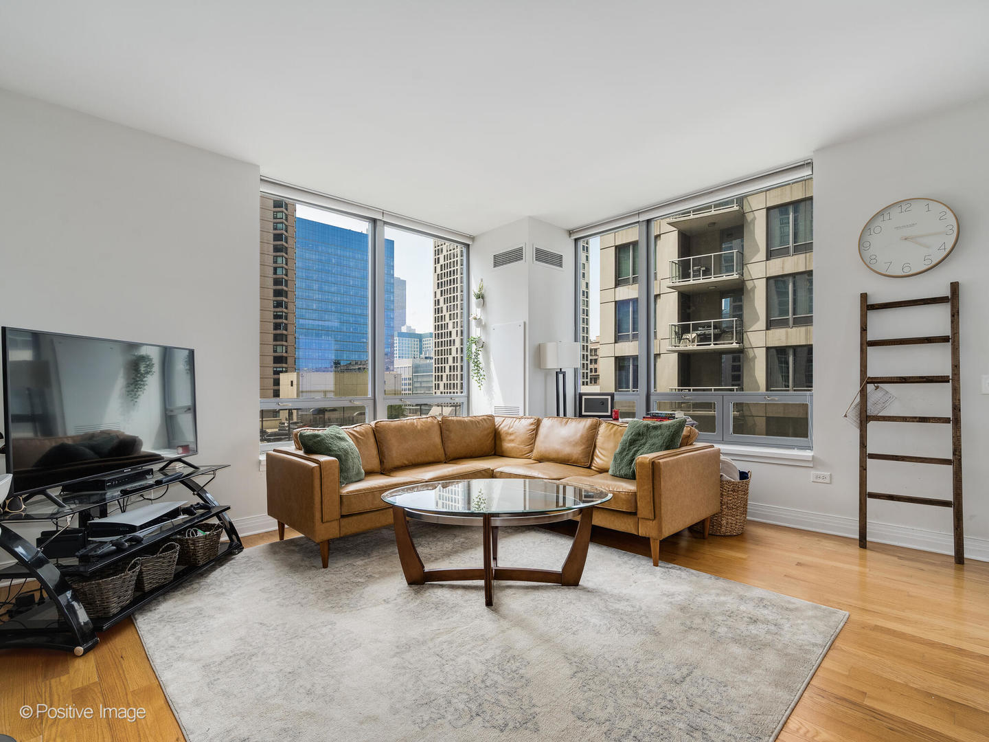 600 N Lake Shore Drive 1409 Property Photo 4