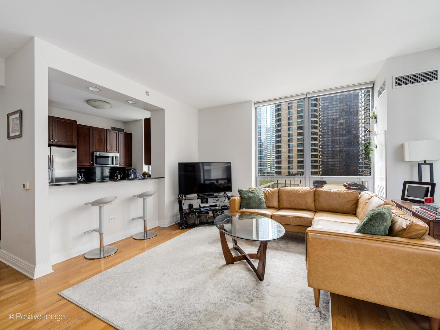 600 N Lake Shore Drive 1409 Property Photo 9