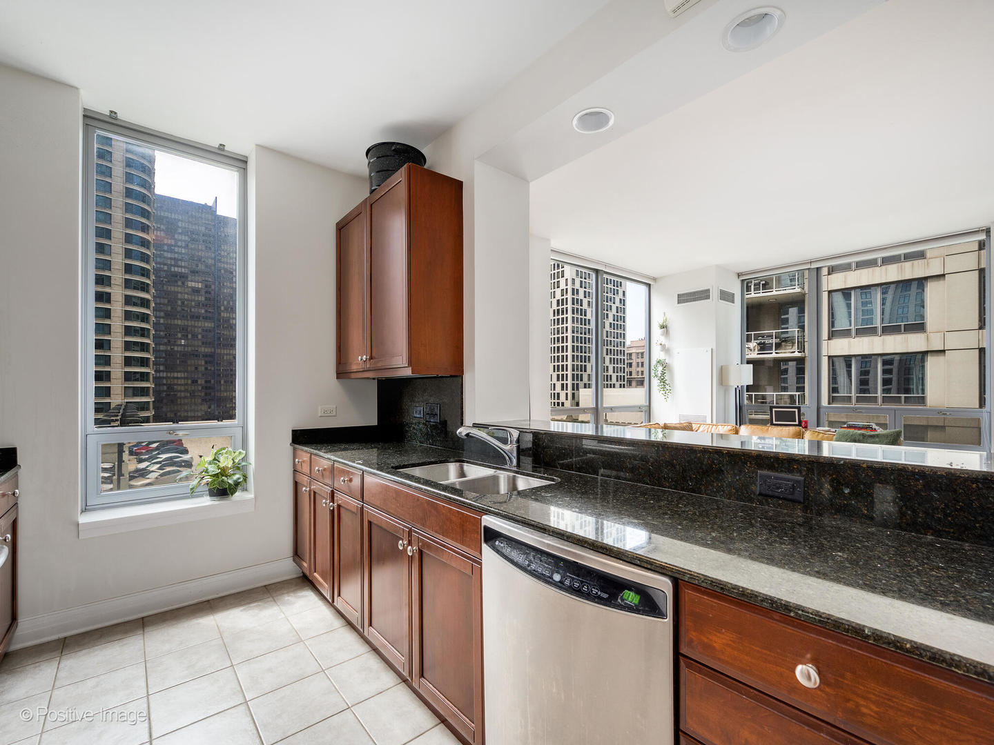 600 N Lake Shore Drive 1409 Property Photo 10