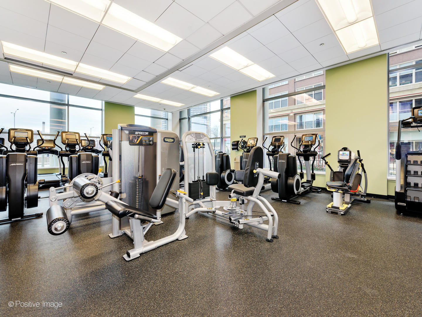 600 N Lake Shore Drive 1409 Property Photo 17