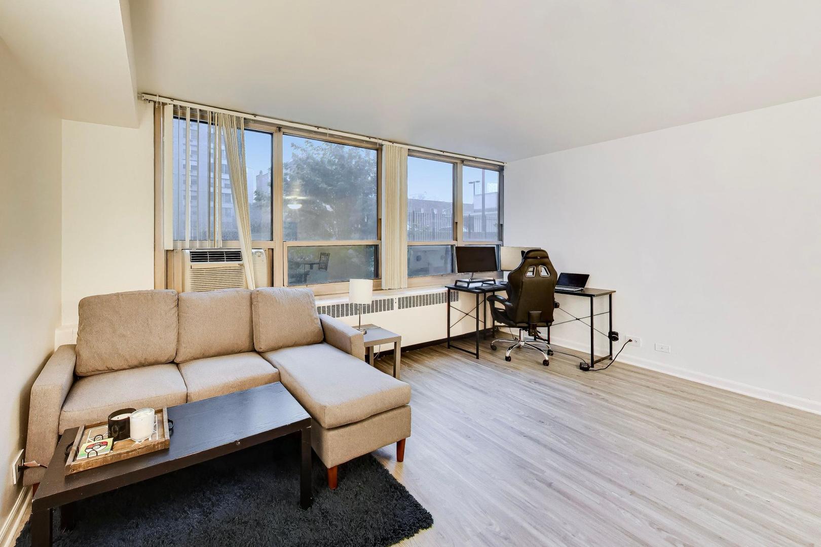 3950 N Lake Shore Drive 227e Property Photo 5
