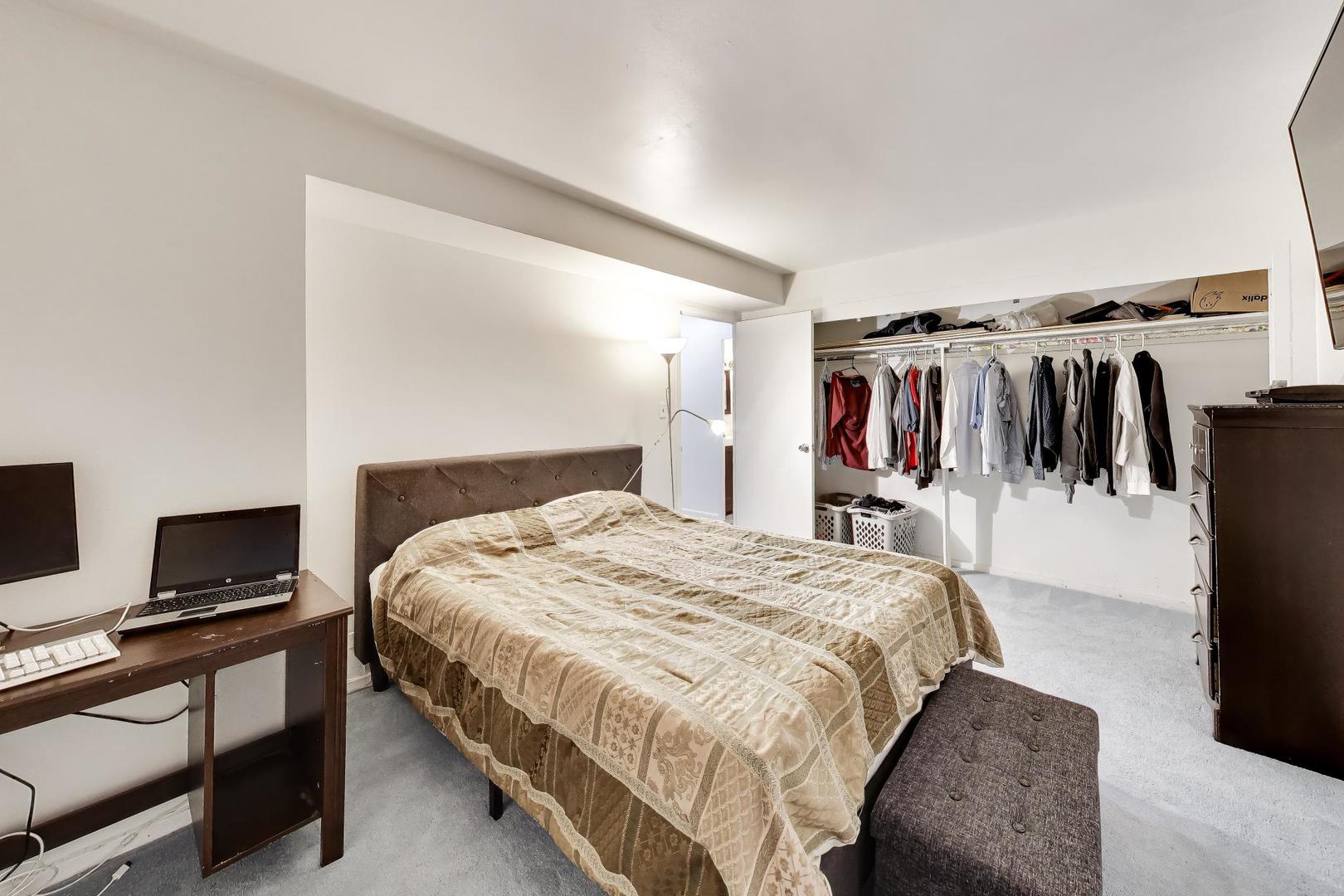 3950 N Lake Shore Drive 227e Property Photo 14