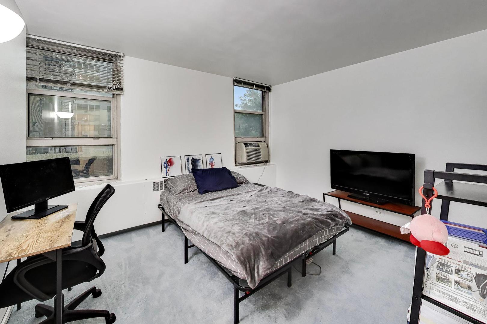 3950 N Lake Shore Drive 227e Property Photo 15