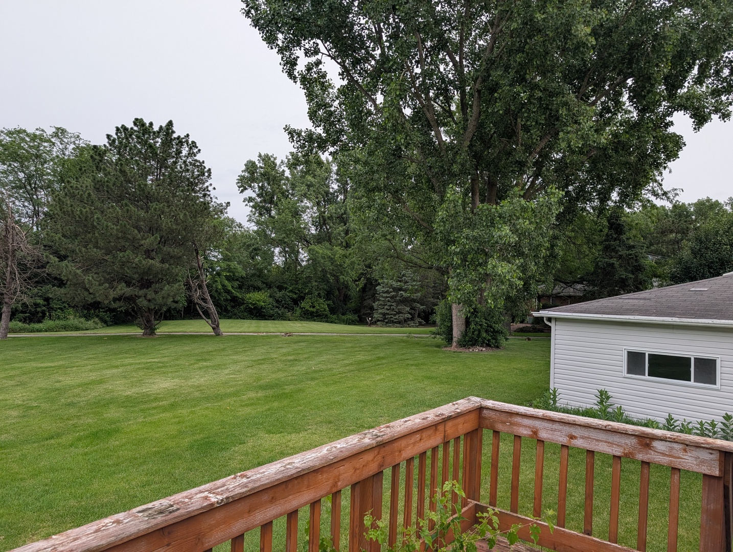 22636 Olympia Drive Property Photo 14