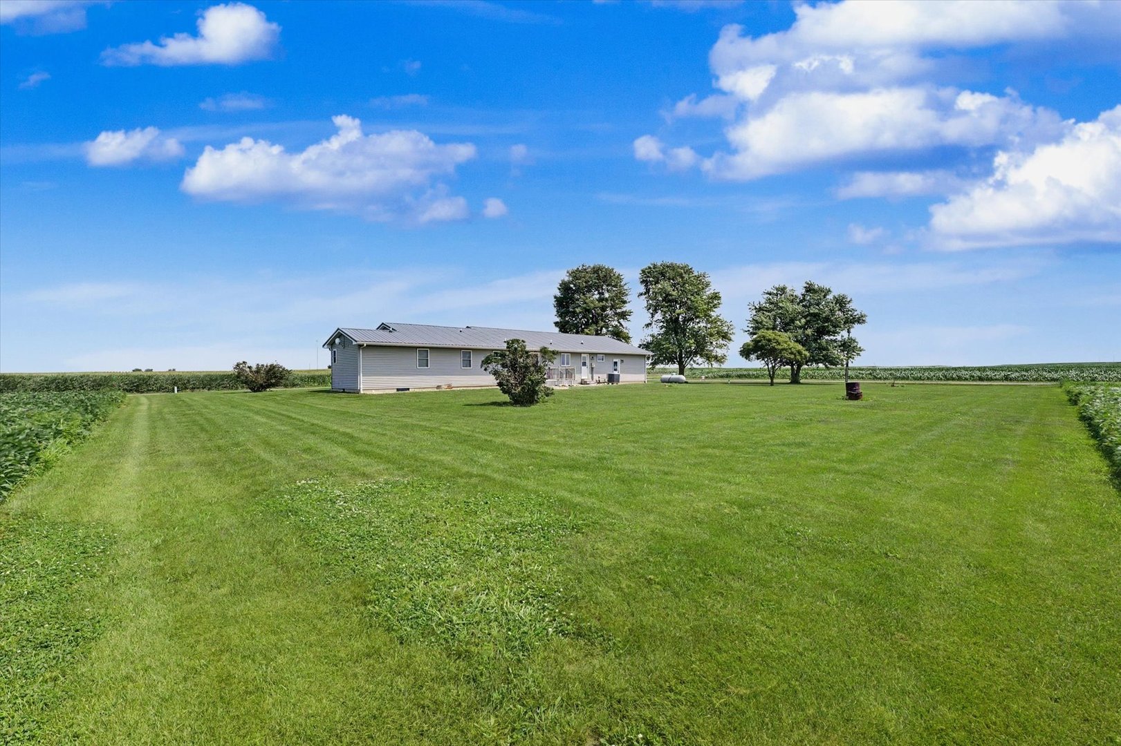 2499 County Road 2600 Property Photo 45