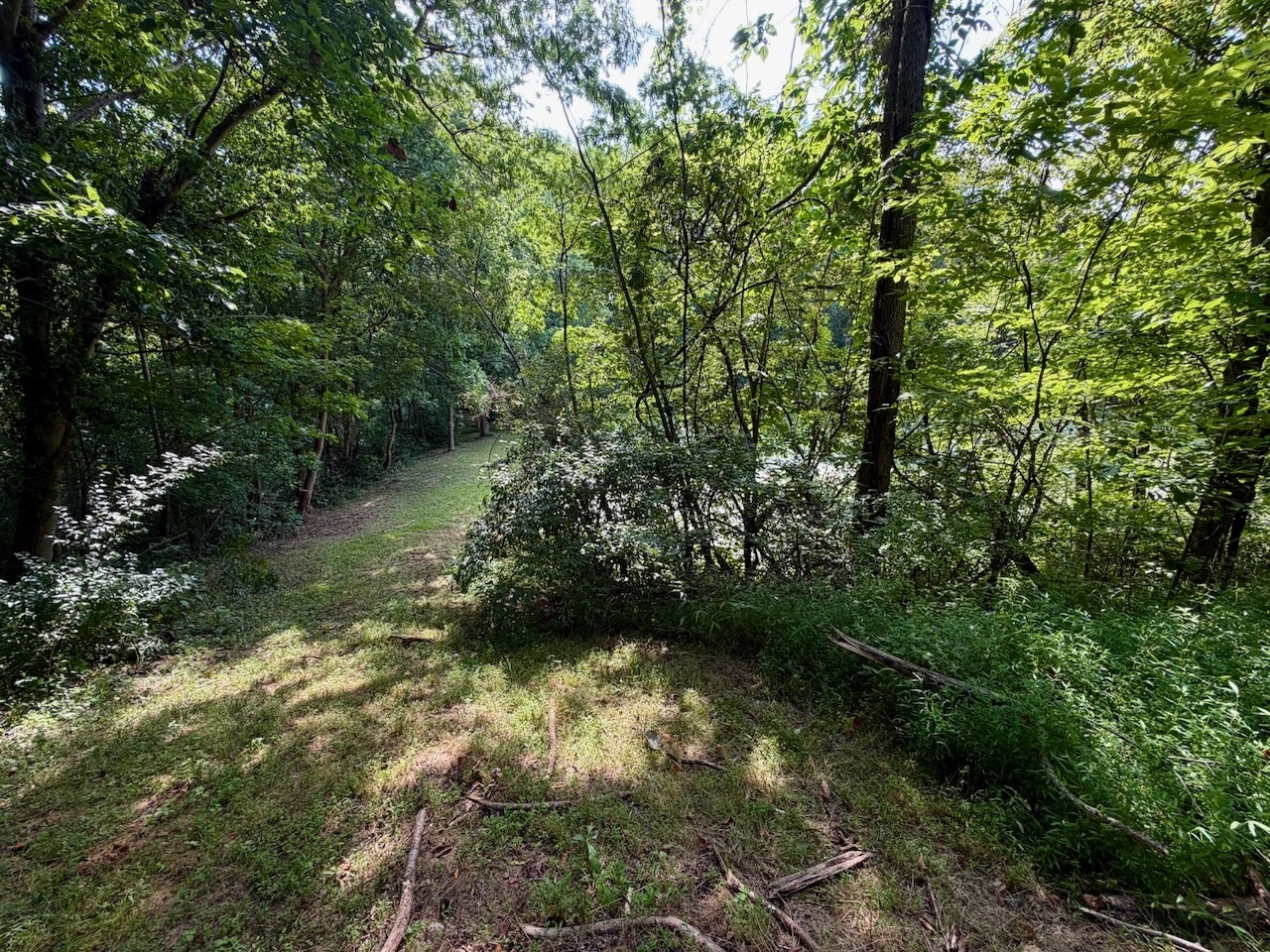 68 Lost Ranch Road Property Photo 7