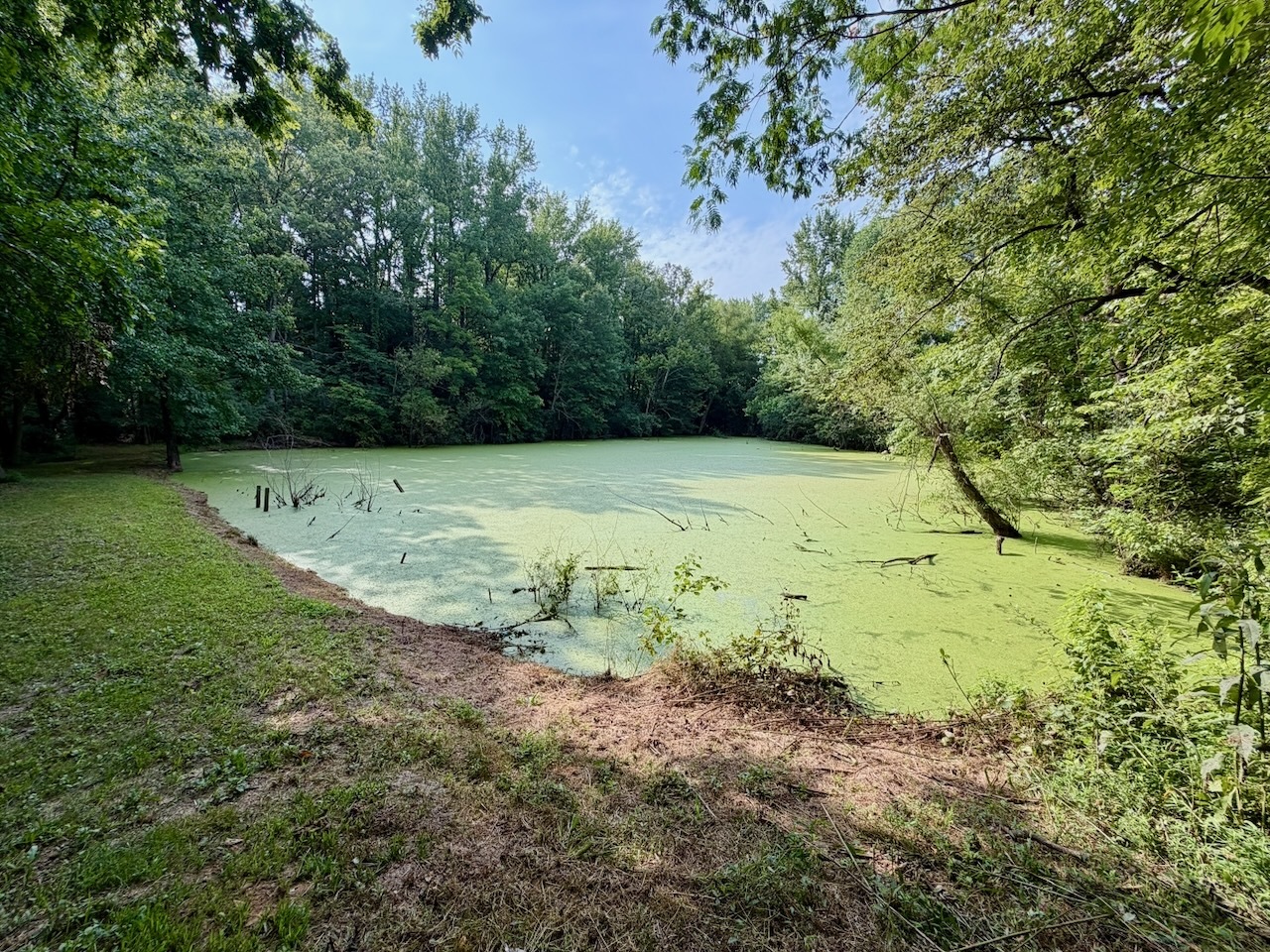 68 Lost Ranch Road Property Photo 8