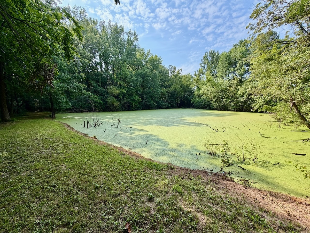 68 Lost Ranch Road Property Photo 9