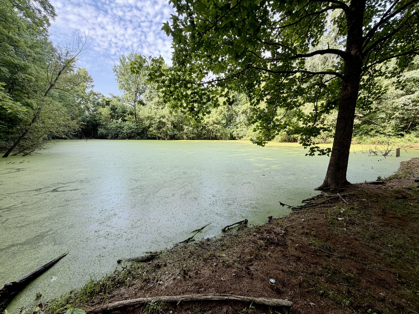 68 Lost Ranch Road Property Photo 10