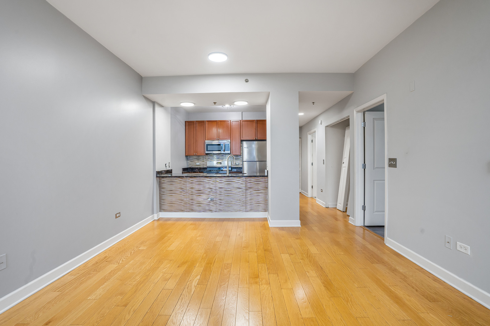 1400 S Michigan Avenue 1501 Property Photo 7