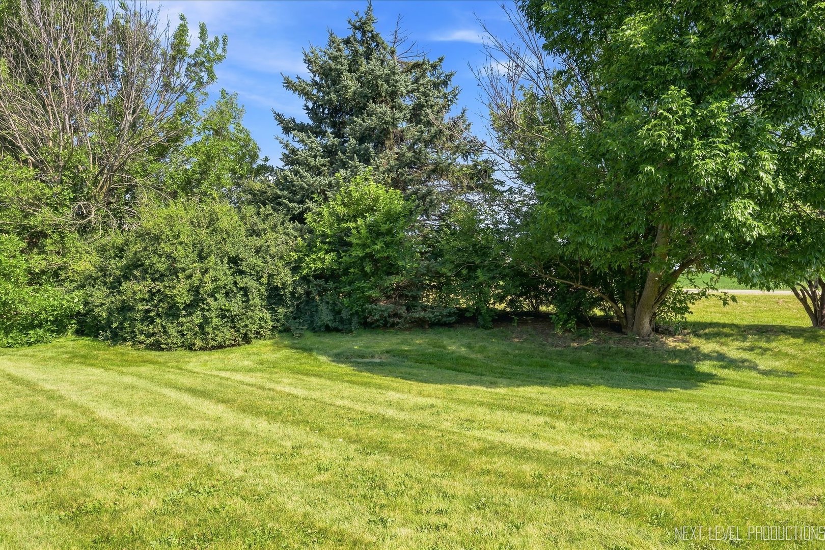 306 Conley Drive Property Photo 25