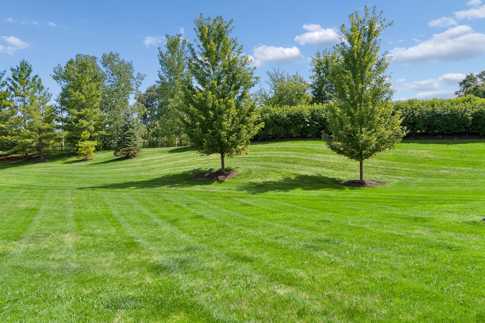 1797 Indian Hill Lane Property Photo 17