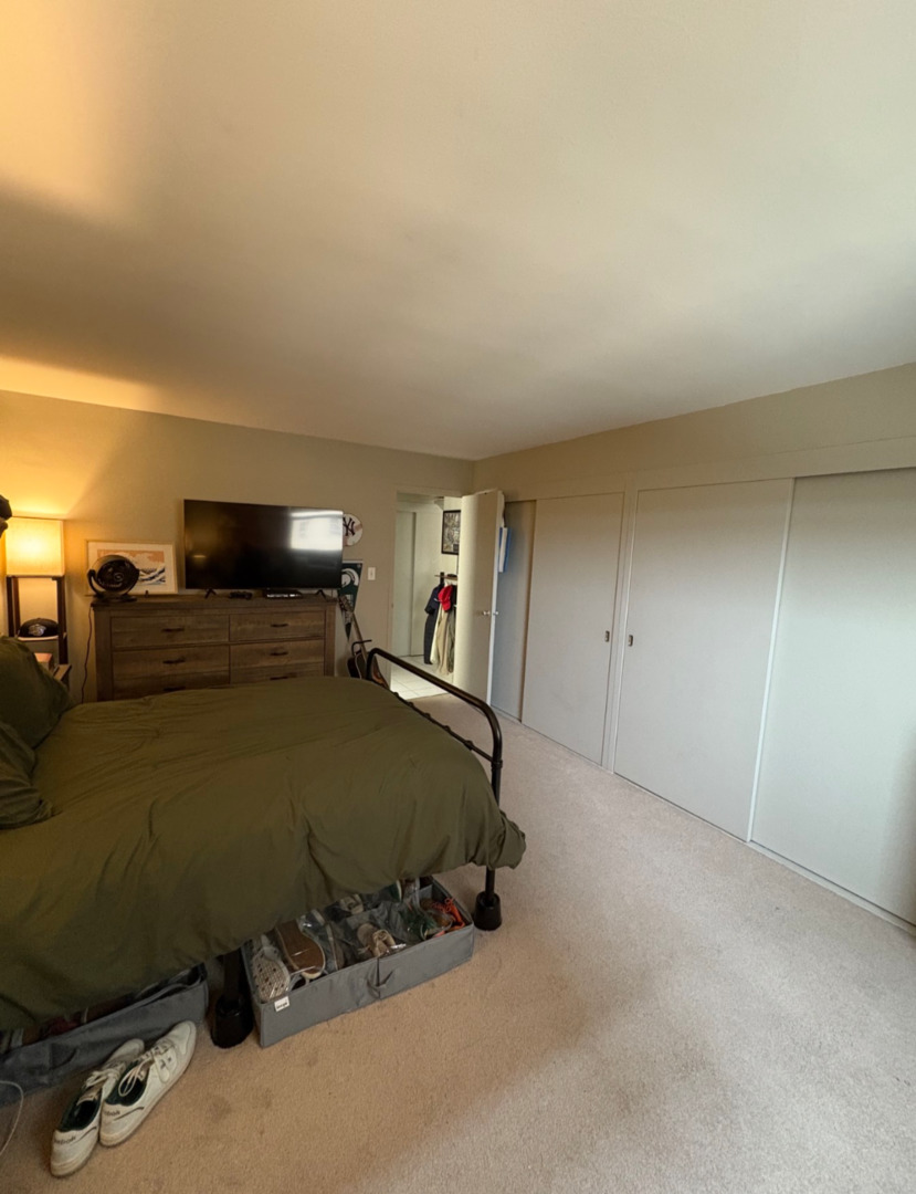 3950 N Lake Shore Drive 526 Property Photo 2