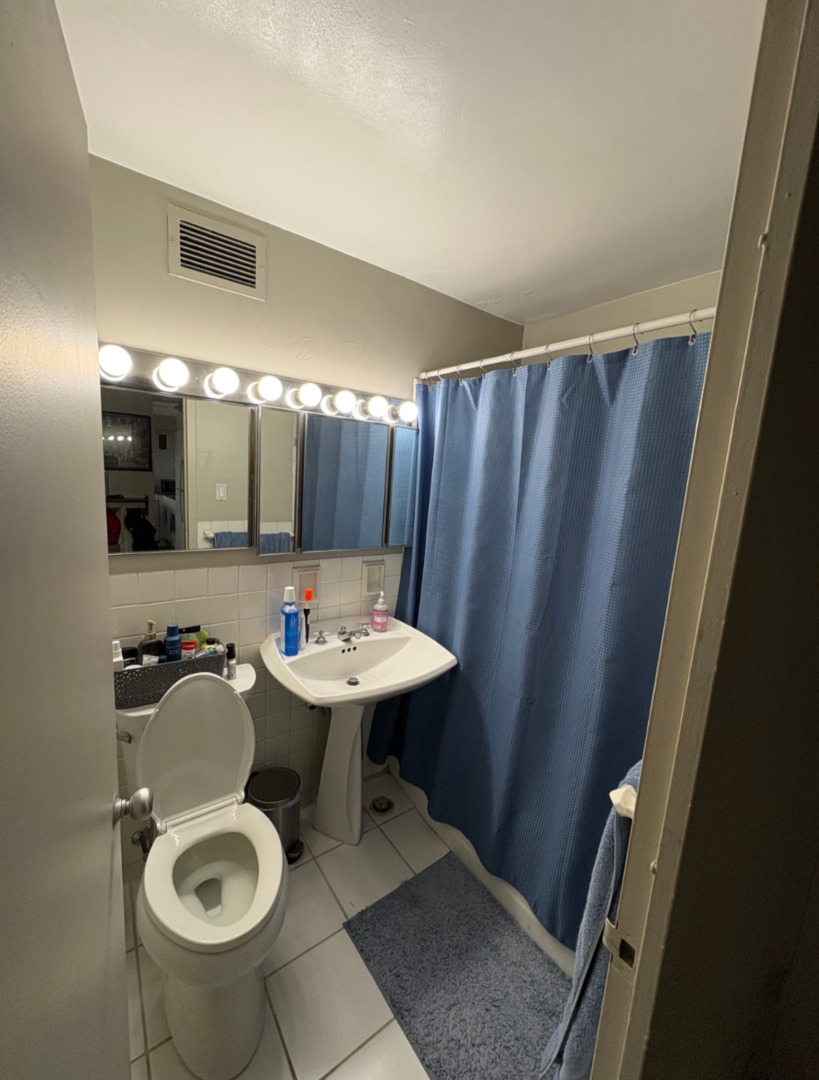 3950 N Lake Shore Drive 526 Property Photo 4