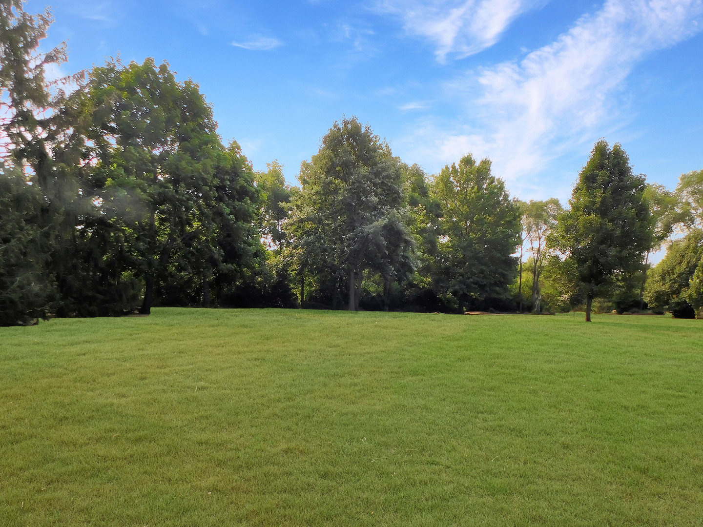 6707 Queenanns Way Property Photo 39