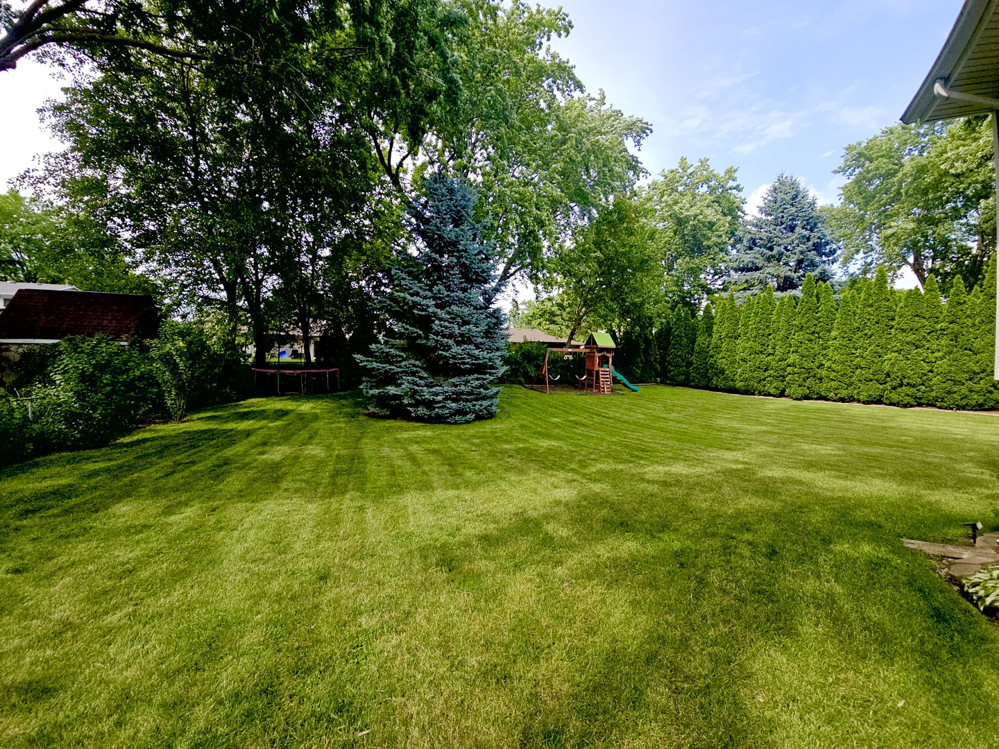 1002 Summerfield Court Property Photo 19