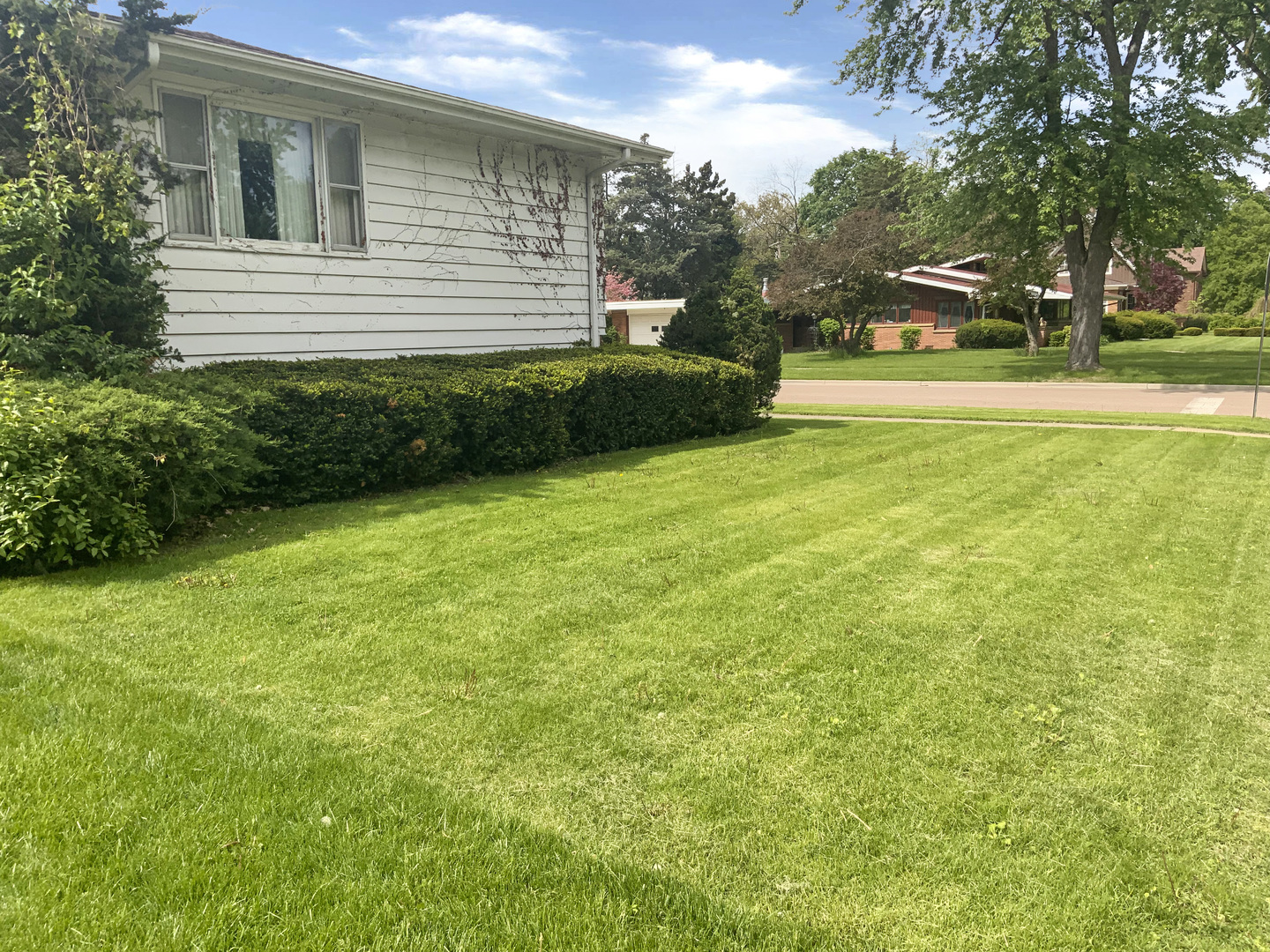 747 Palace Street Property Photo 5