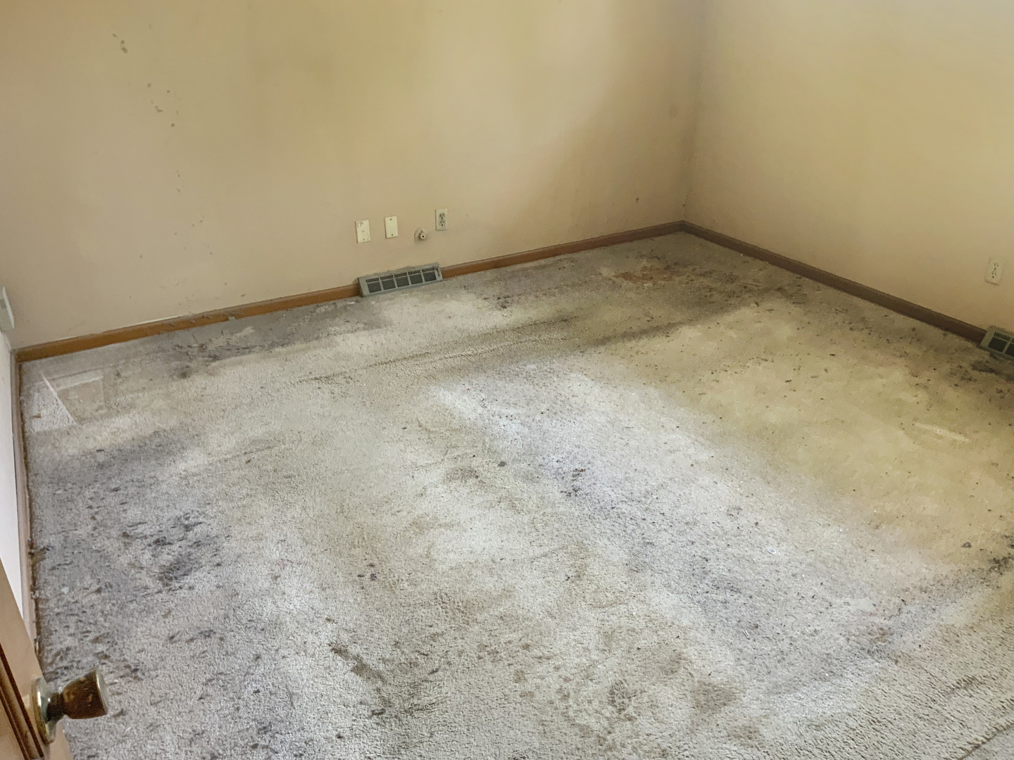 747 Palace Street Property Photo 12