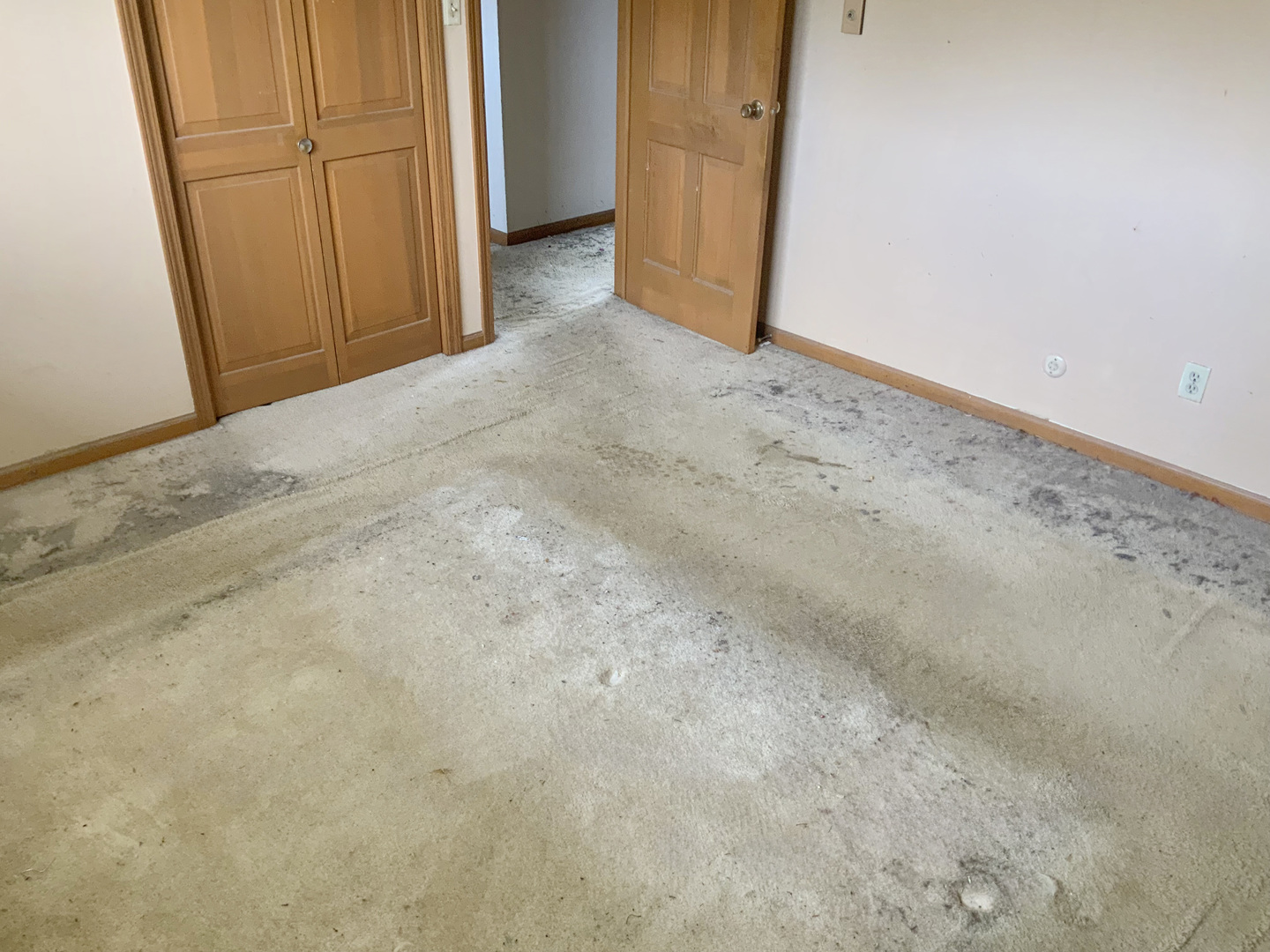 747 Palace Street Property Photo 13