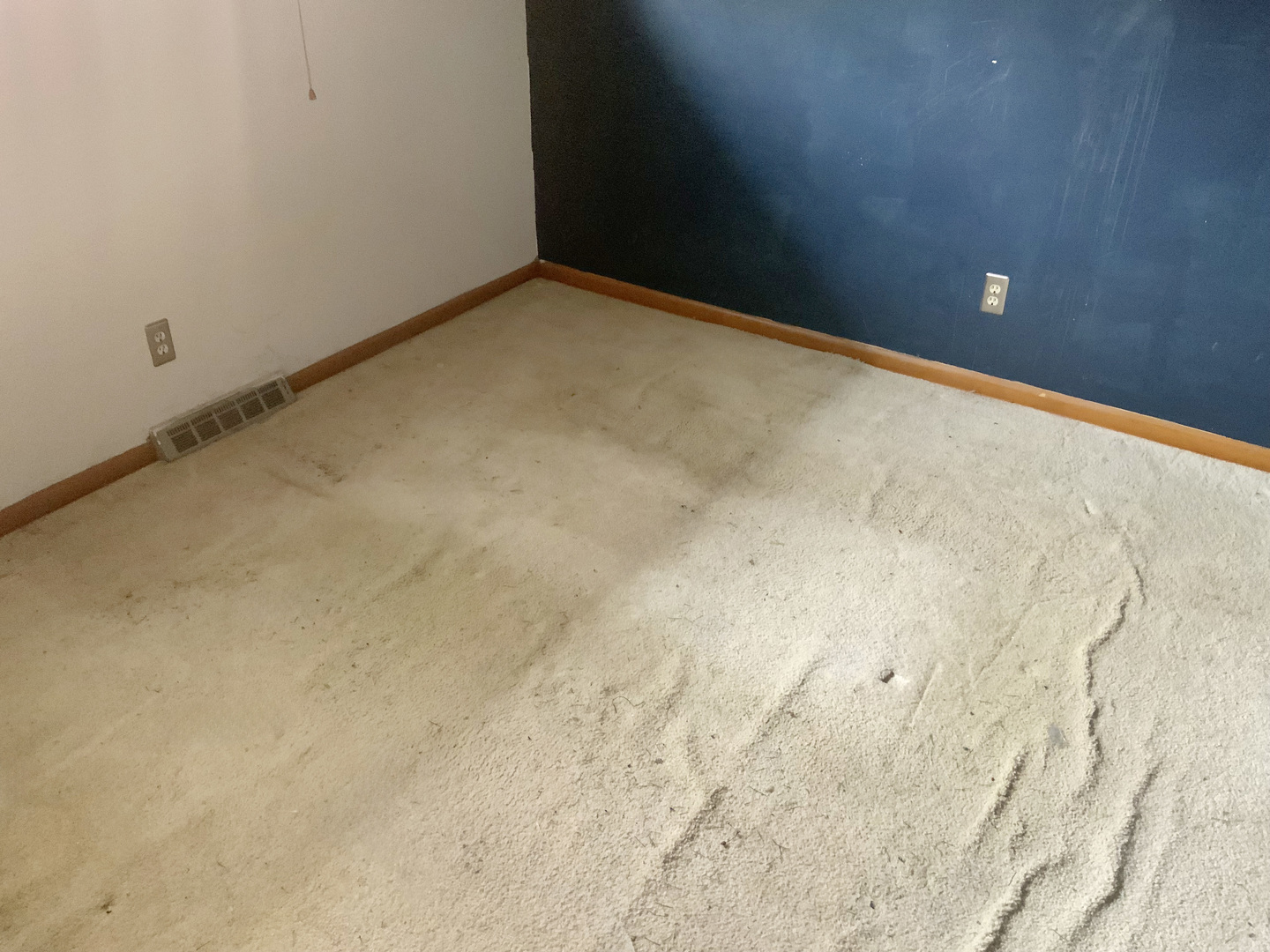747 Palace Street Property Photo 14