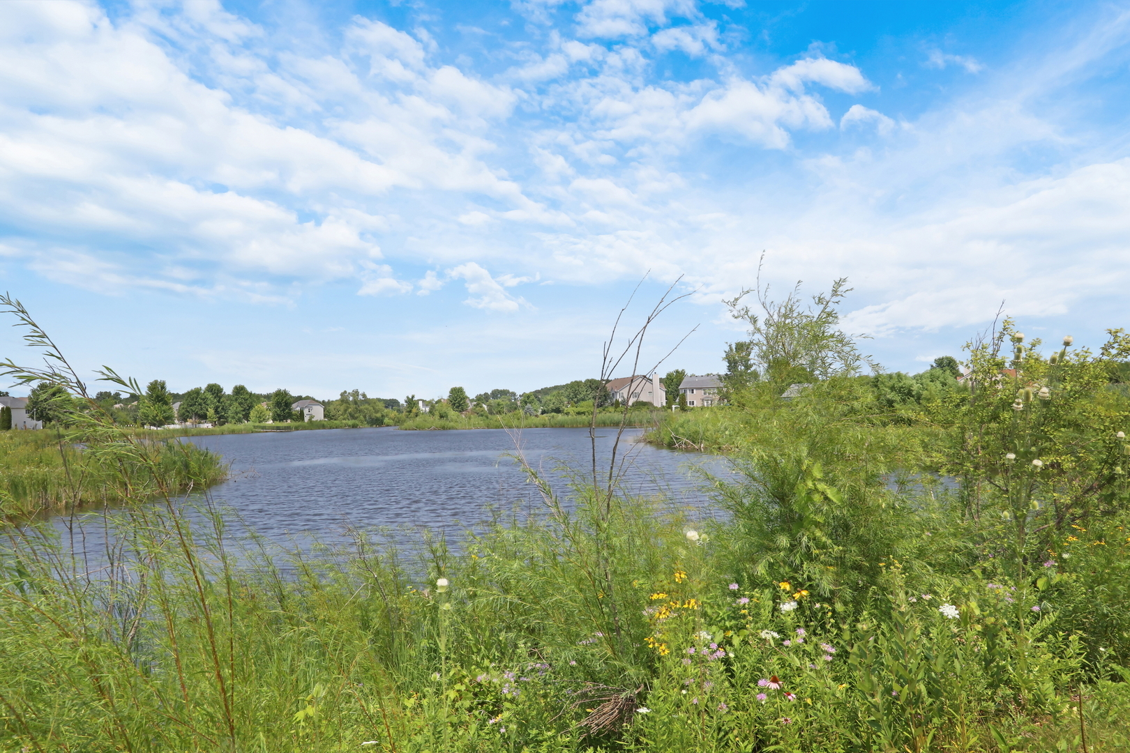 1056 Dana Court Property Photo 44
