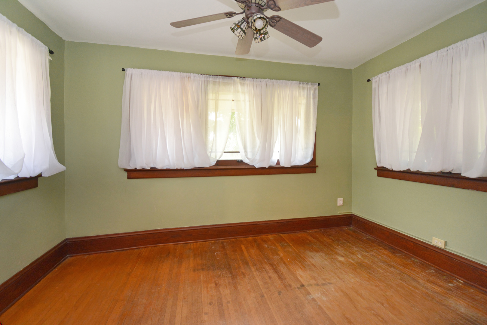 22 Payne Place Property Photo 25