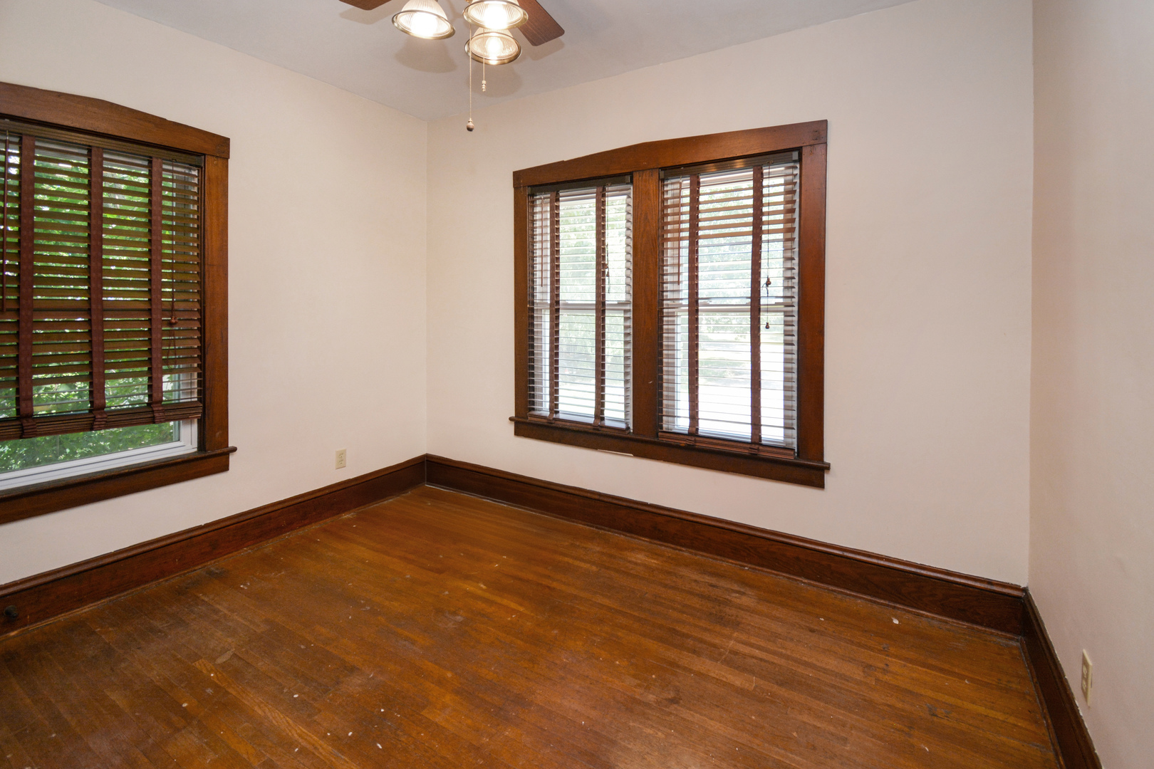 22 Payne Place Property Photo 28
