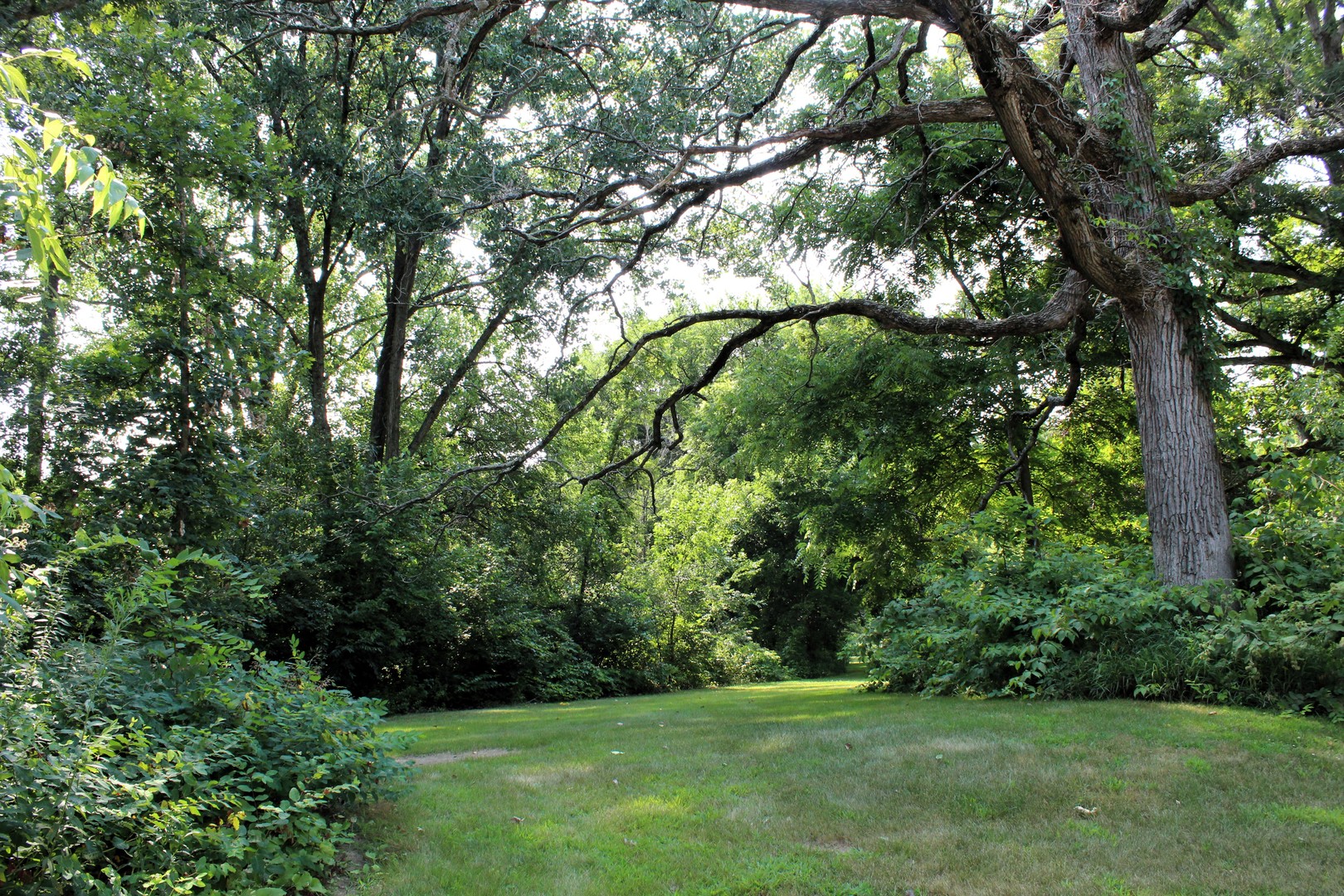 Lot 9 Cherokee Drive Property Photo 1
