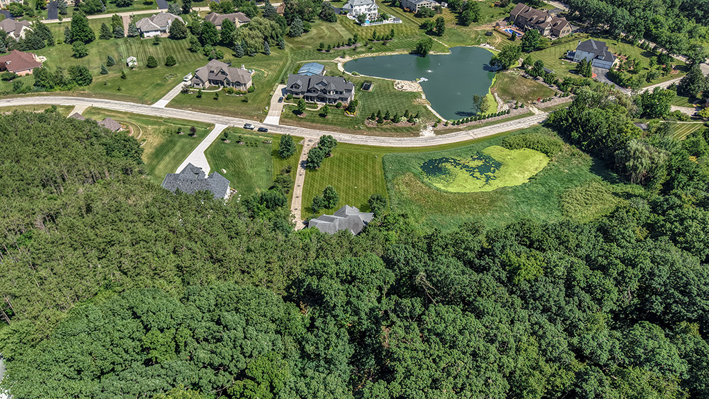 16556 Pine Hill Drive Property Photo 8