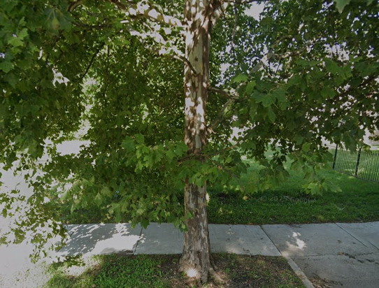 6010 S Union Avenue Property Photo 1