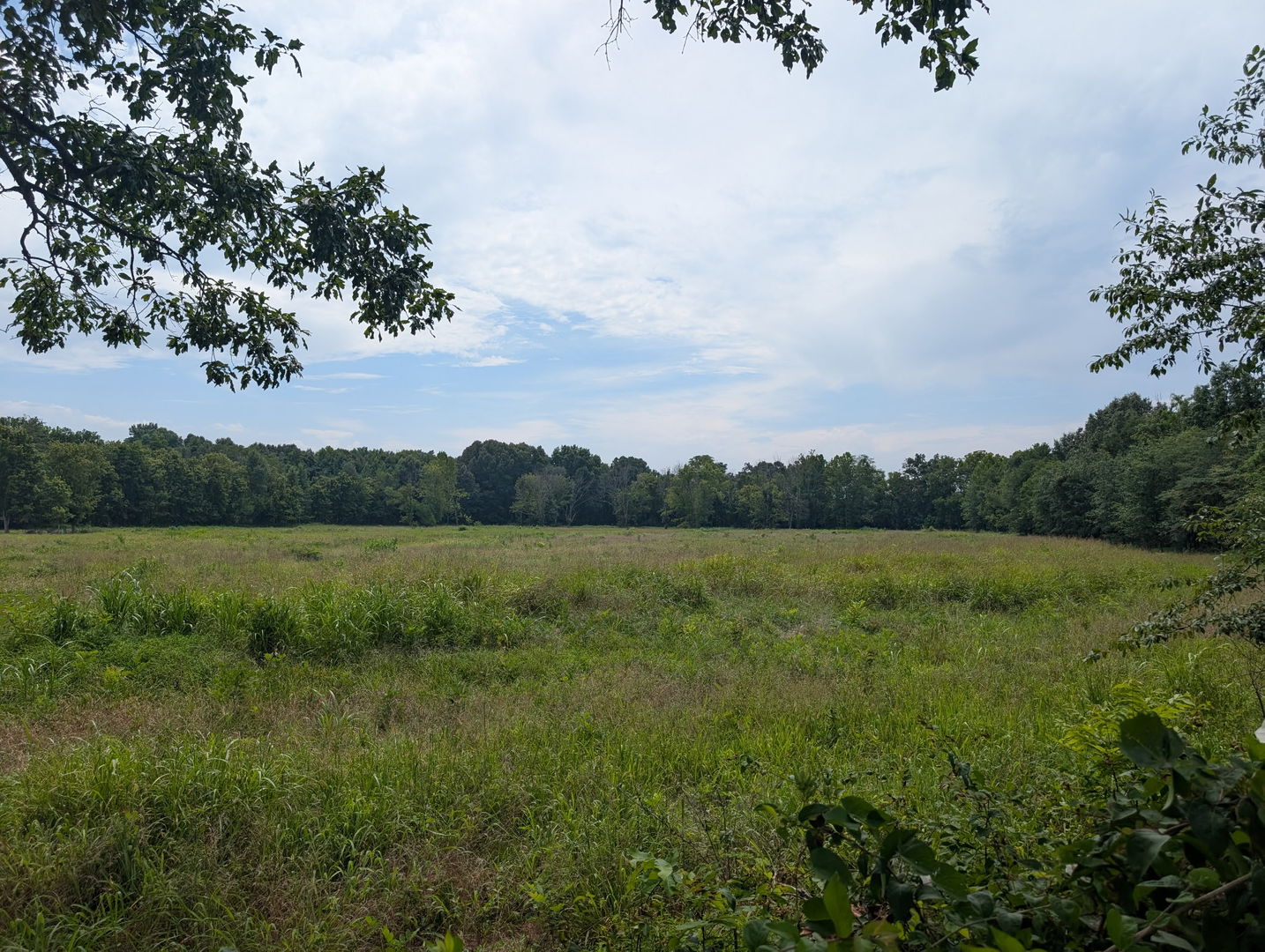 000 Fairgrounds Road Property Photo 9