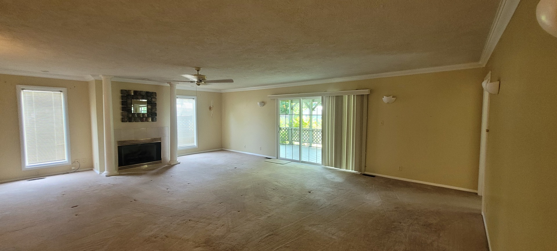 3205 Blackberry Street Property Photo 6