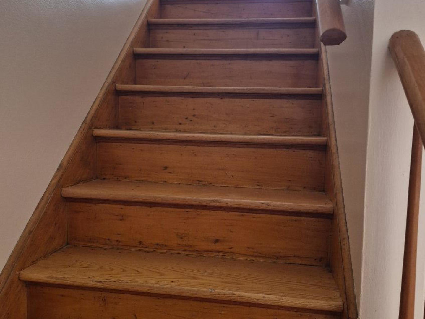 1031 Bellwood Avenue C Property Photo 6