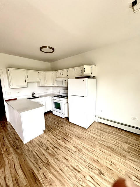 919 W Irving Park Road 3f Property Photo 4