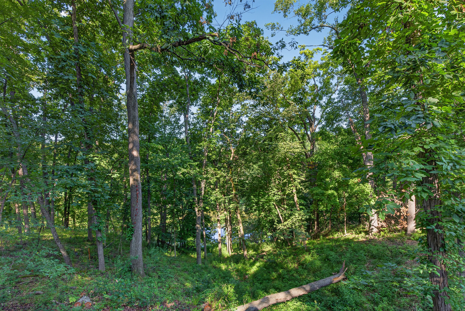 1669 Lakeside Court Property Photo 34