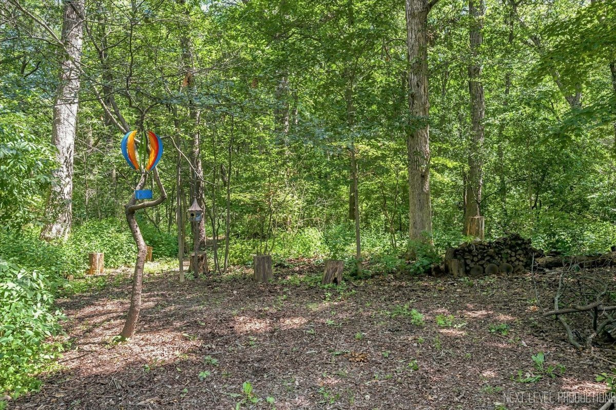 4n621 Deerslayer Drive Property Photo 38