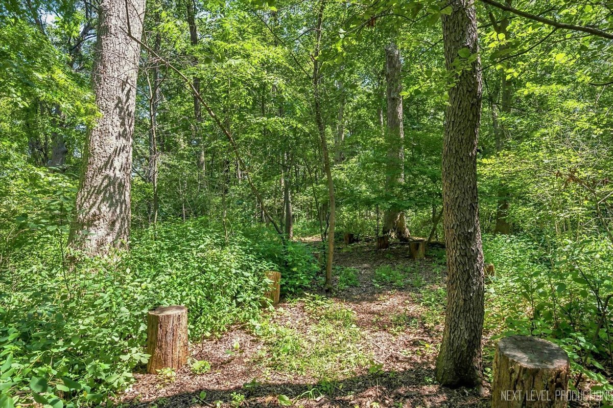 4n621 Deerslayer Drive Property Photo 39