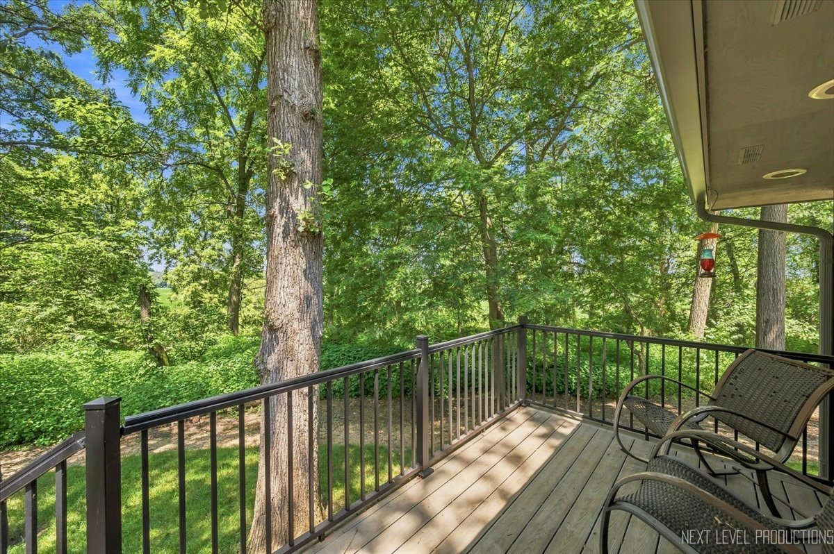 4n621 Deerslayer Drive Property Photo 43