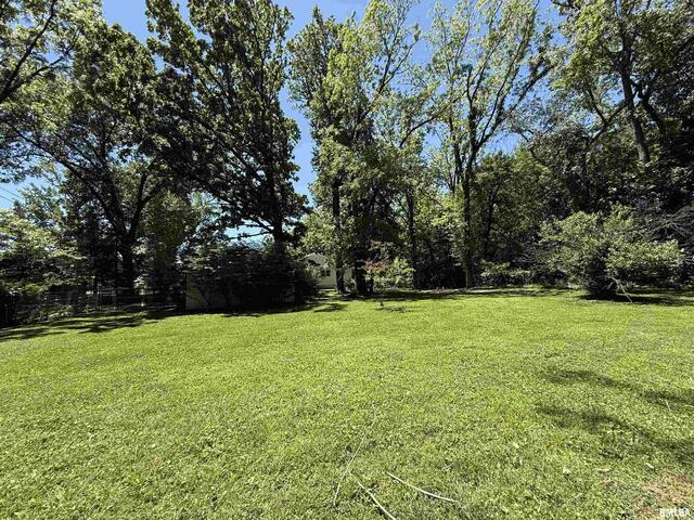 1312 W Sycamore Street Property Photo 22