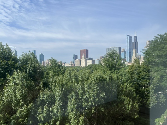 155 N Harbor Drive 212-213 Property Photo 4